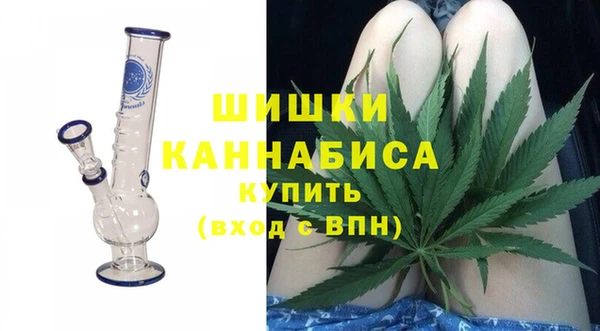 гидра Абаза