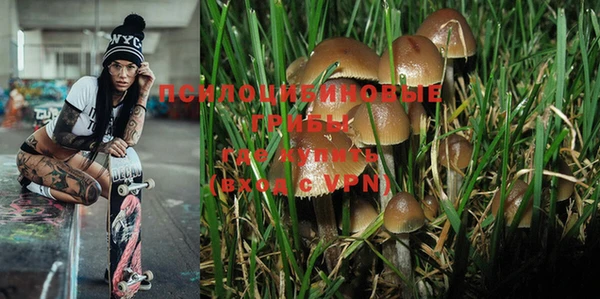 мяу мяу мука Абинск