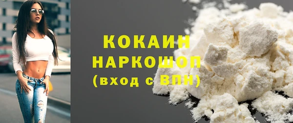 индика Алзамай
