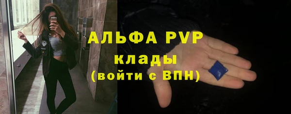 гидра Абаза