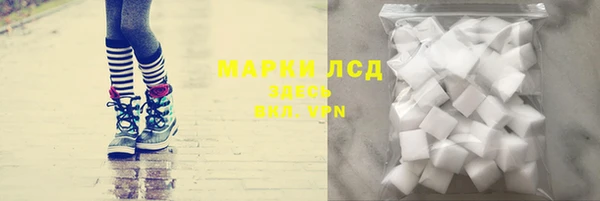 гидра Абаза