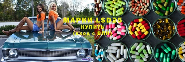 гидра Абаза